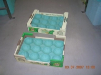 60x40 cm 15Q - Alvéoles celluloses pour melon - Alvéoles celluloses moulées 60x40