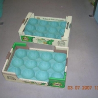 60x40 cm 15Q - Alvéole cellulose pour melon - Alvéole cellulose moulée 60x40