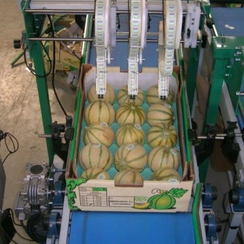 60x40 cm 15L - Photo dscn4519=courrier.jpg