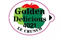 GOLDEN 4021 - Stick pour fruit et légume - Pommes export - Le crunch