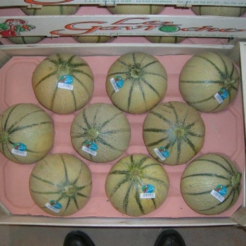 60x40 cm 11Q - Photo photo_034_0.jpg