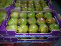 50x30 18 fruits - 1 - Alvéole cellulose pour pomme  - Alvéole en cellulose moulée 50x30 cm