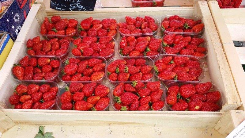 Barquette alimentaire plastique pour fraises, prunes ou raisins