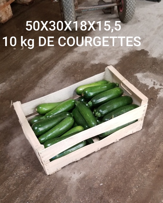 Plateau de 5 gros légumes en bois