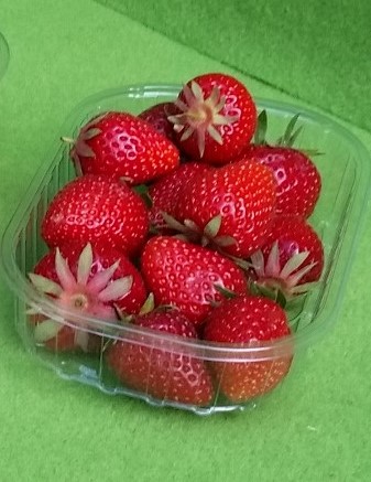 Rayon Fruits frais découpés : barquettes en plastique de fruits mélangés  '(petits fruits entiers et fruits découpés) - Phototheque du Ctifl